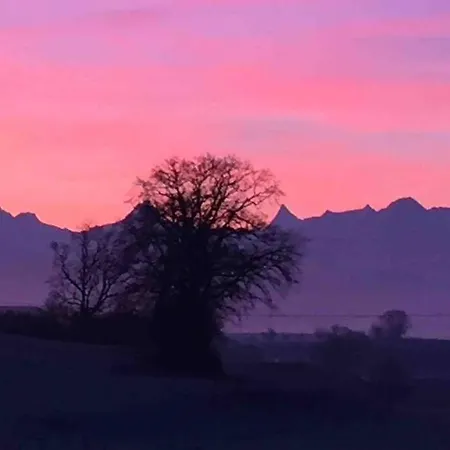 Freistehendes, Denkmalgeschuetztes Stoeckli Bei Bern Dom wakacyjny Kirchlindach