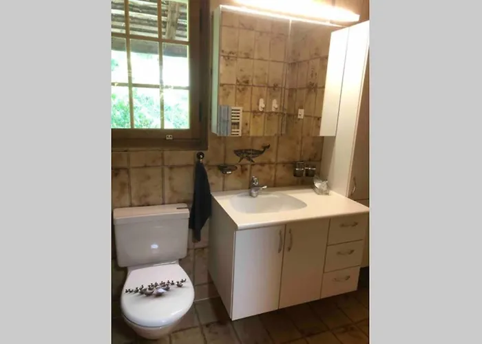 別荘 Freistehendes, Denkmalgeschuetztes Stoeckli Bei Bern