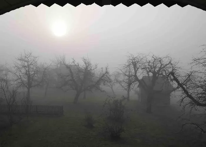 Freistehendes, Denkmalgeschuetztes Stoeckli Bei Bern 別荘 Kirchlindach