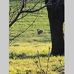 Freistehendes, Denkmalgeschuetztes Stoeckli Bei Bern Kirchlindach